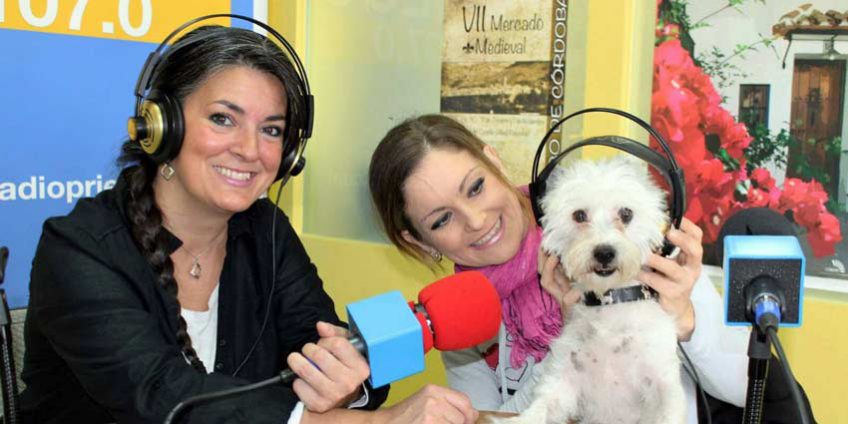 Mascotas de Priego