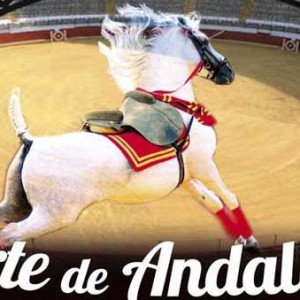 El Arte de Andalucía