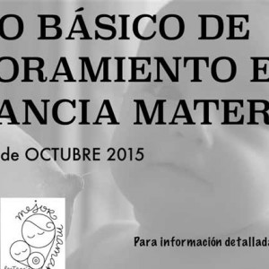 Curso Lactancia Materna