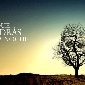 Sé que vendrás esta noche - David Gámiz