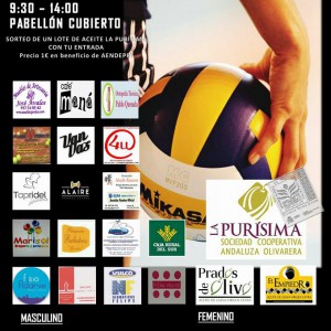 II Torneo San Nicasio Voleibol