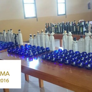 Ecotrama 2016