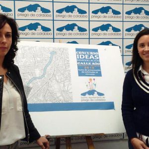 Ceballos y Casanueva - Concurso de ideas para la remodelación de la calle Río
