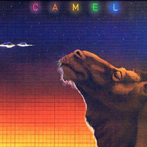 Camel en Ruta 789
