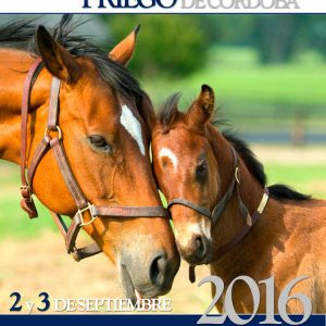 Cartel Feria Ganado 2016