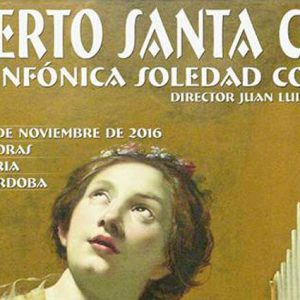Concierto Santa Cecilia