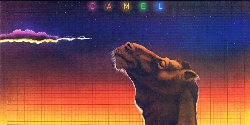 Camel en Ruta 789