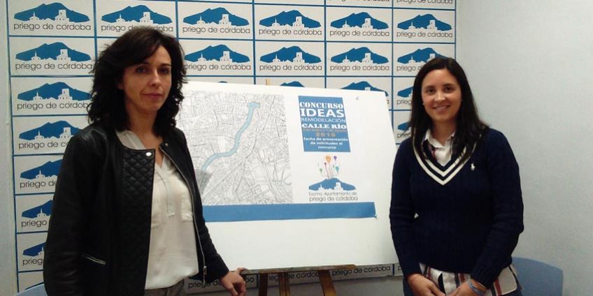 Ceballos y Casanueva - Concurso de ideas para la remodelación de la calle Río