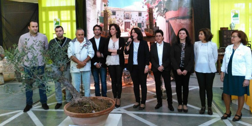 Exposición sobre la historia de la Cultura Oleícola
