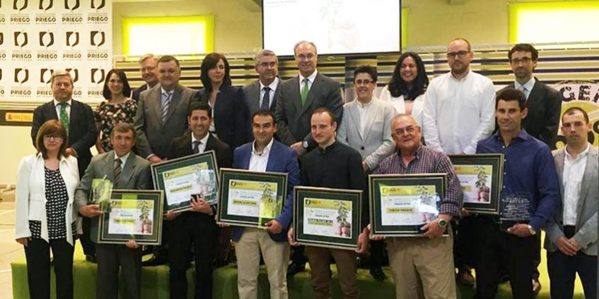 premios-dop-priego-2016