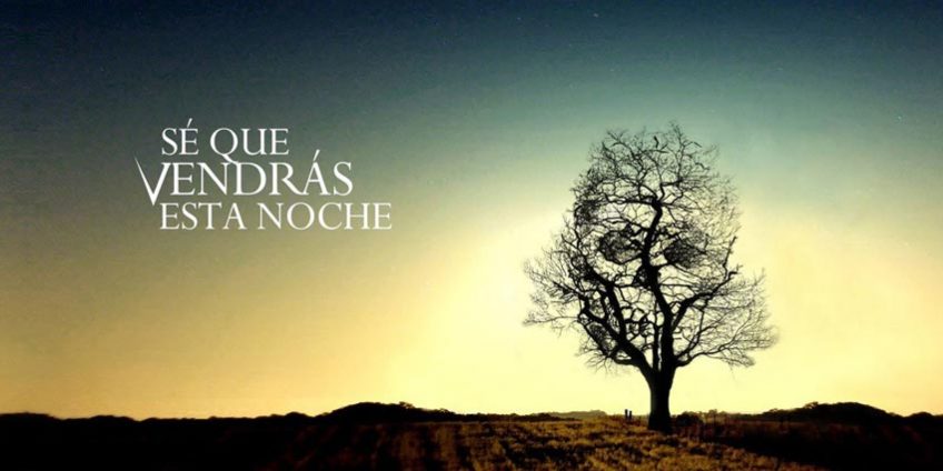 Sé que vendrás esta noche - David Gámiz